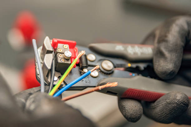 Best Electrical Repair Services  in Old Fig Garden, CA