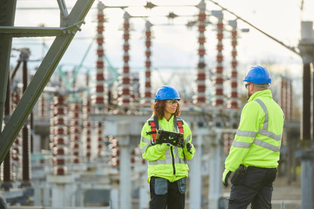 Best Residential Electrician Services  in Old Fig Garden, CA