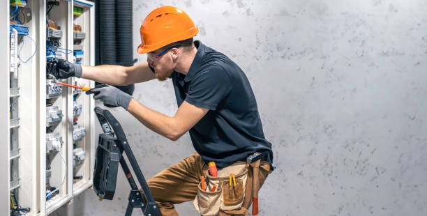 Best Local Electrician Companies  in Old Fig Garden, CA